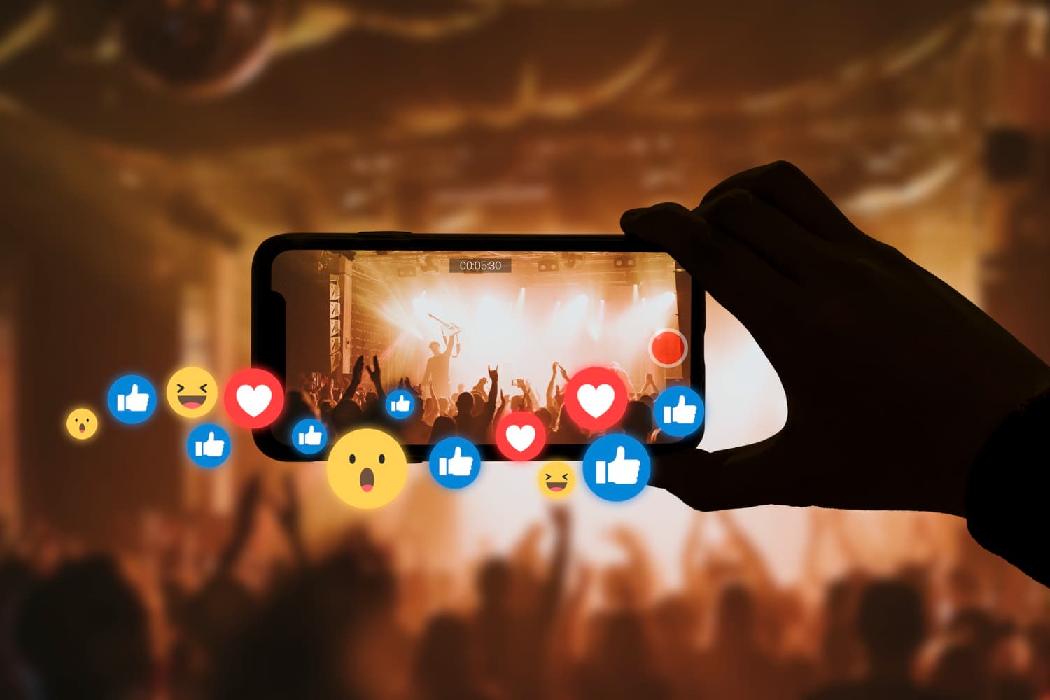 Público curtindo show ao vivo